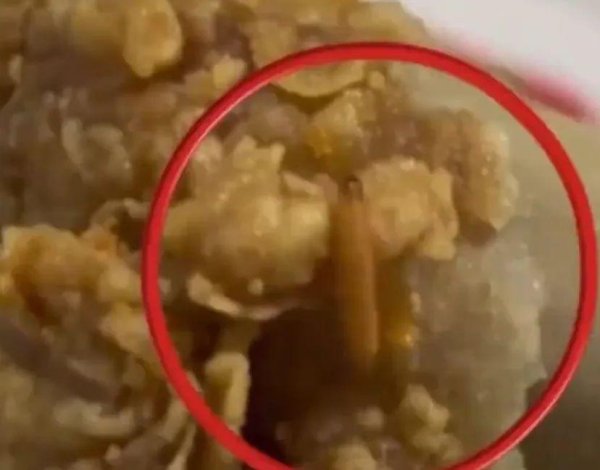 常盈股票 上海一女子吃华莱士鸡腿吃出活蛆？ 涉事门店店员：鸡腿都是现腌现卖的