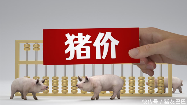 华融配资 一片红！猪价“火力全开”，6月要涨破7.5元/斤？附：6月23日猪价