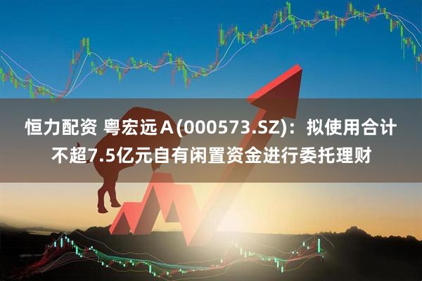恒力配资 粤宏远Ａ(000573.SZ)：拟使用合计不超7.5亿元自有闲置资金进行委托理财