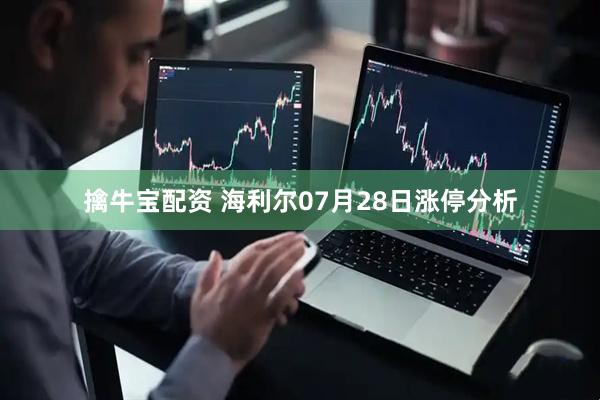 擒牛宝配资 海利尔07月28日涨停分析